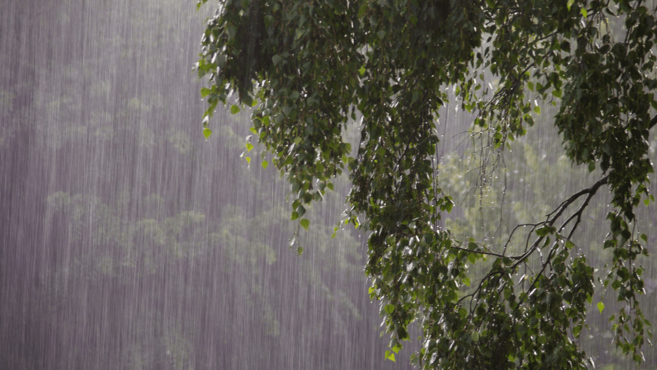 منخفض جوي الجمعة يحمل أمطارا غزيرة وثلوج متوقعة على المرتفعات