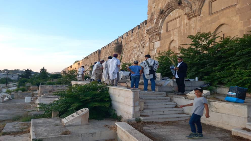 مستوطنون يقتحمون مقبرة باب الرحمة المحاذية للمسجد الأقصى