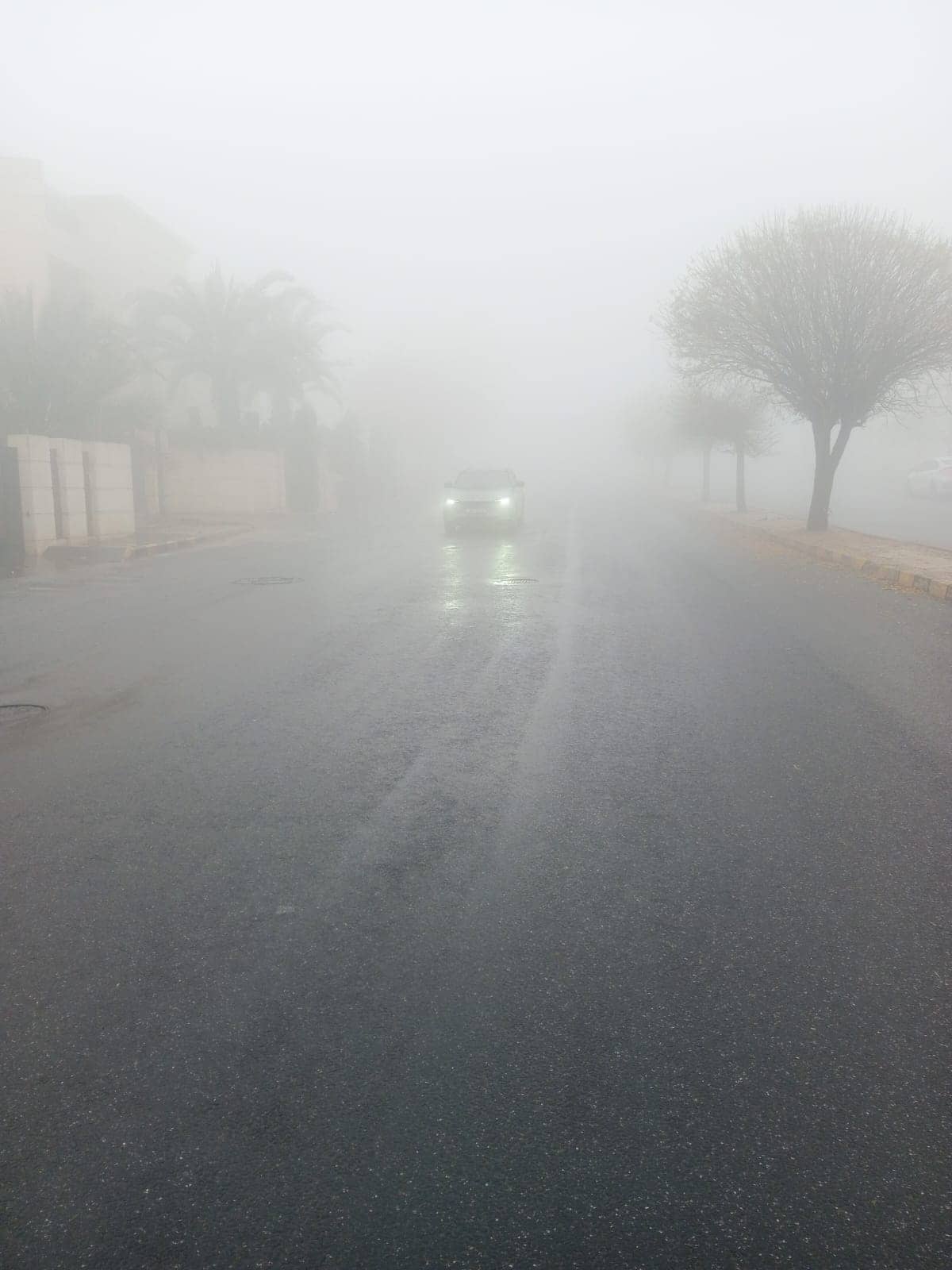 الأرصاد: تدني مدى الرؤية على طريق مطار الملكة علياء بسبب تشكل الضباب