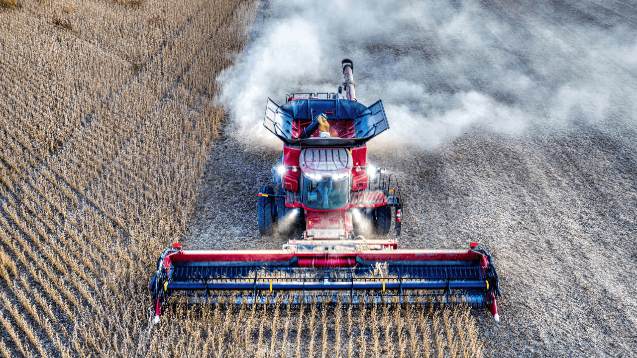 أمانة عمان: تمديد إعفاء السلع الزراعية البستانية المعدة للتصدير حتى نهاية 2026