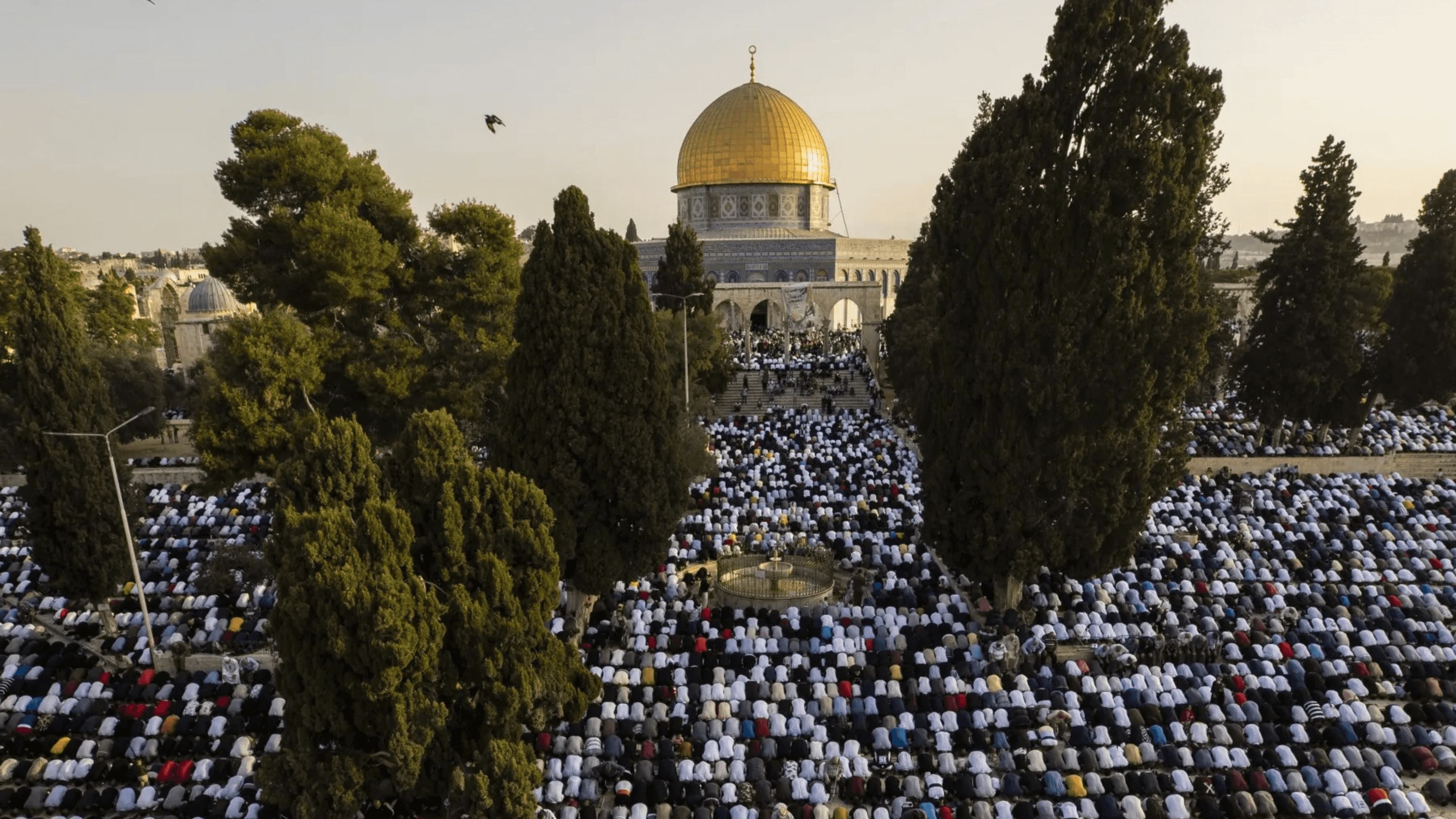 الدار - أدى عشرات الآلاف، صلاة الجمعة في المسجد الأقصى المبارك/ الحرم