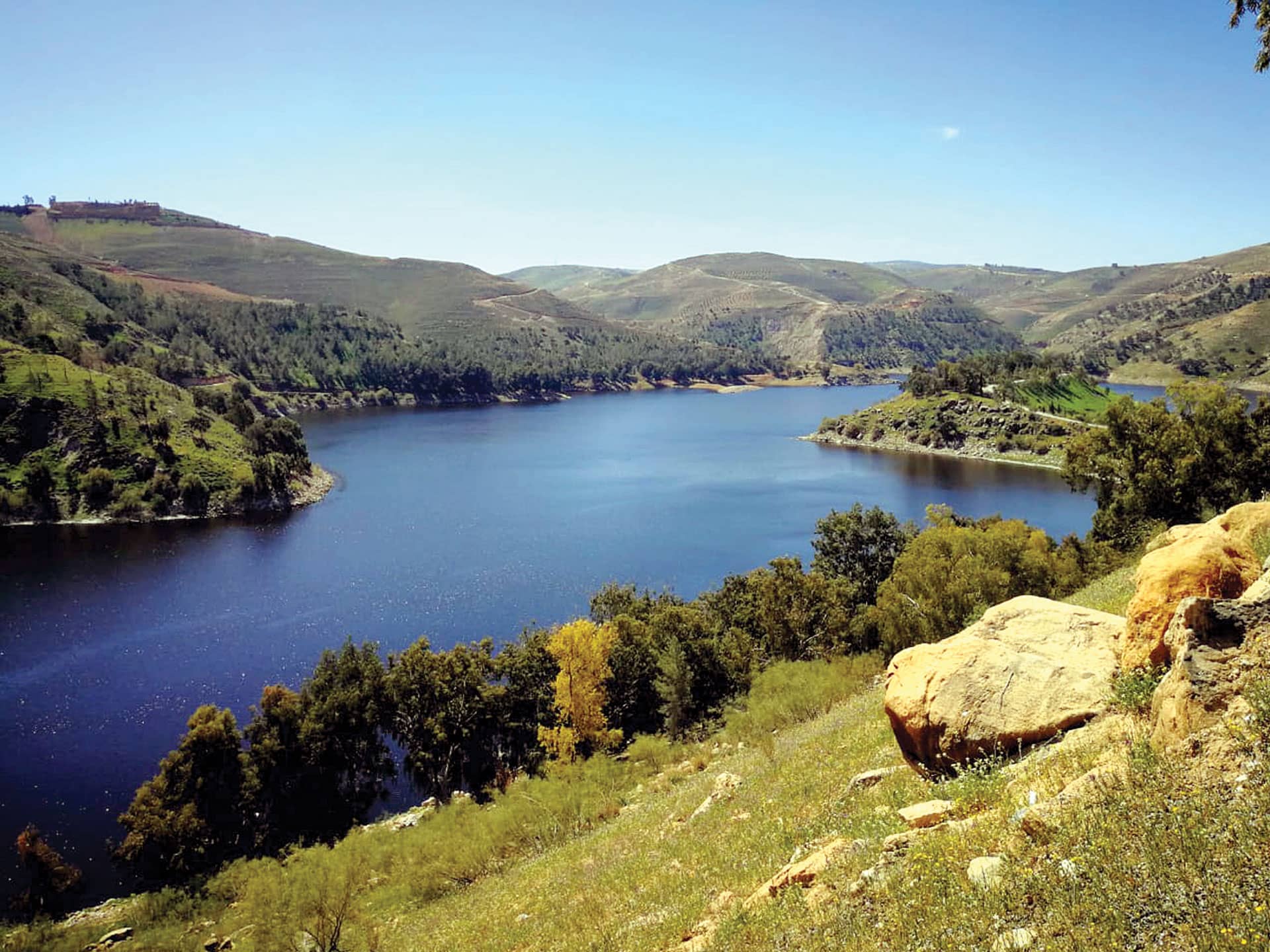 "المياه": موسم مطري "ممتاز" تجاوز 130% وسدود الجنوب والوسط ممتلئة بالكامل