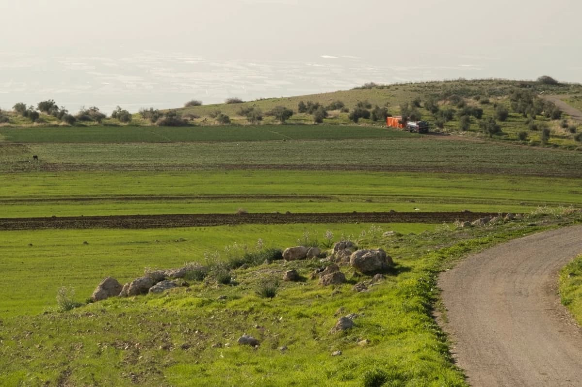 وزارة الزراعة: أمطار الخير تعزّز الإنتاج الزراعي وتدعم الثروة النباتية في الأردن