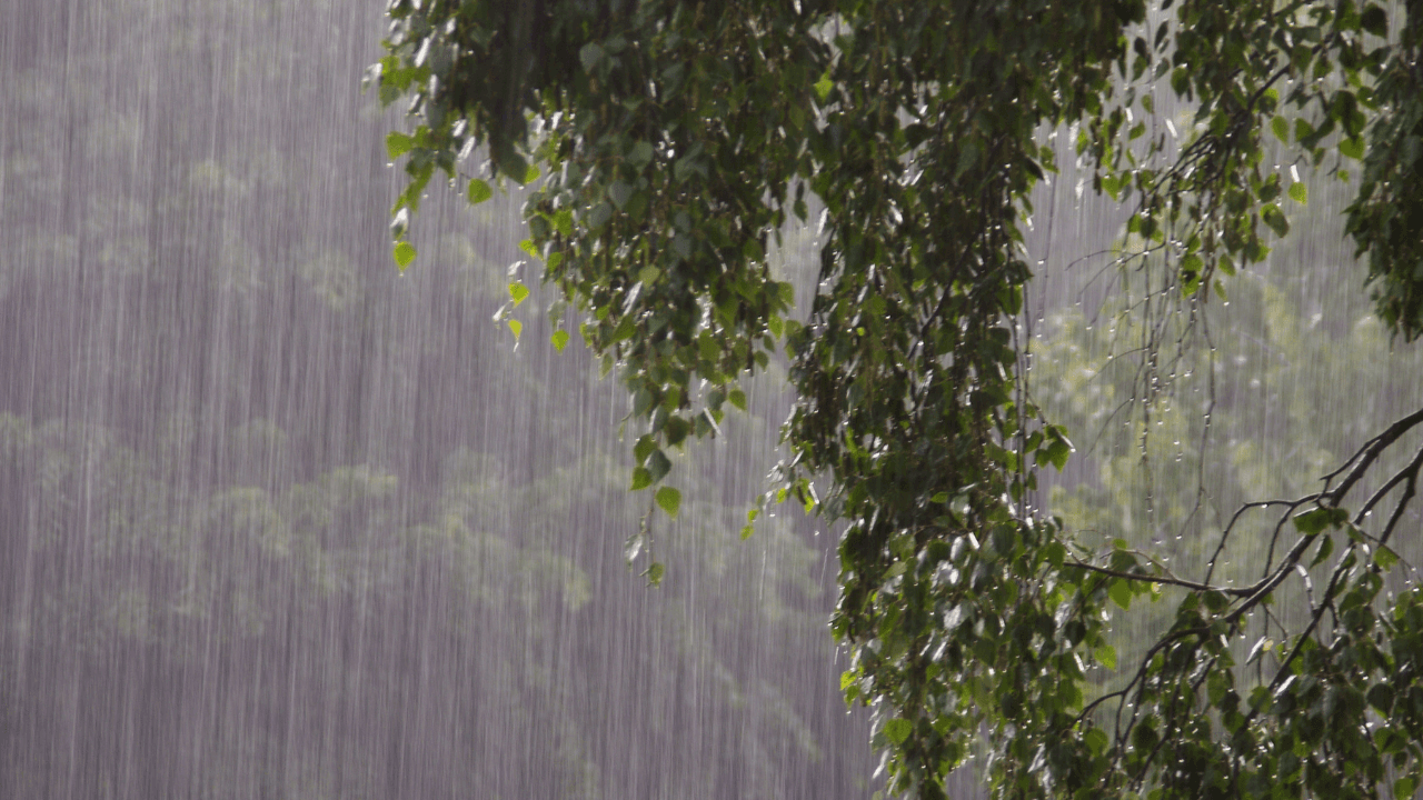 أمطار غزيرة في الشمال والوسط ليلاً وتحذير من السيول