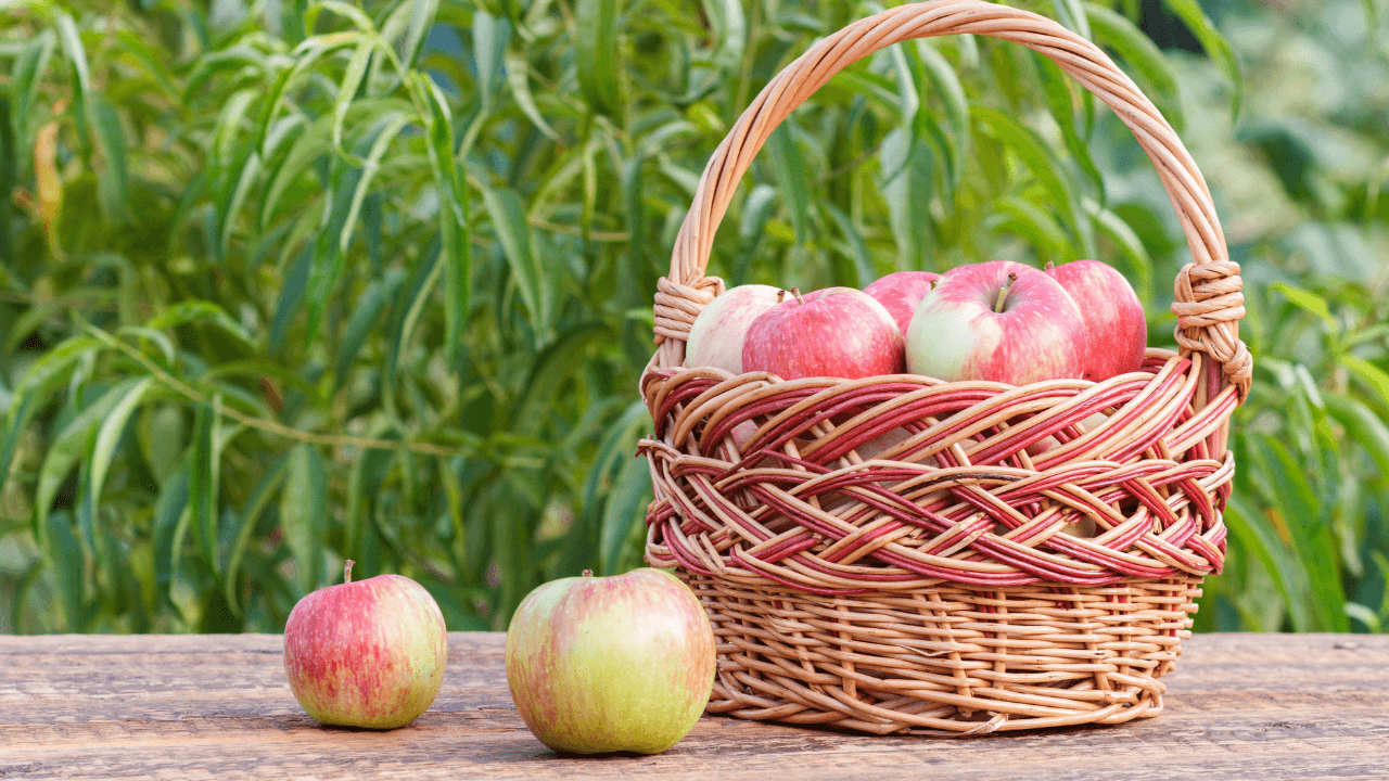 تناول التفاح وعلاقته بالوقاية من أمراض القلب