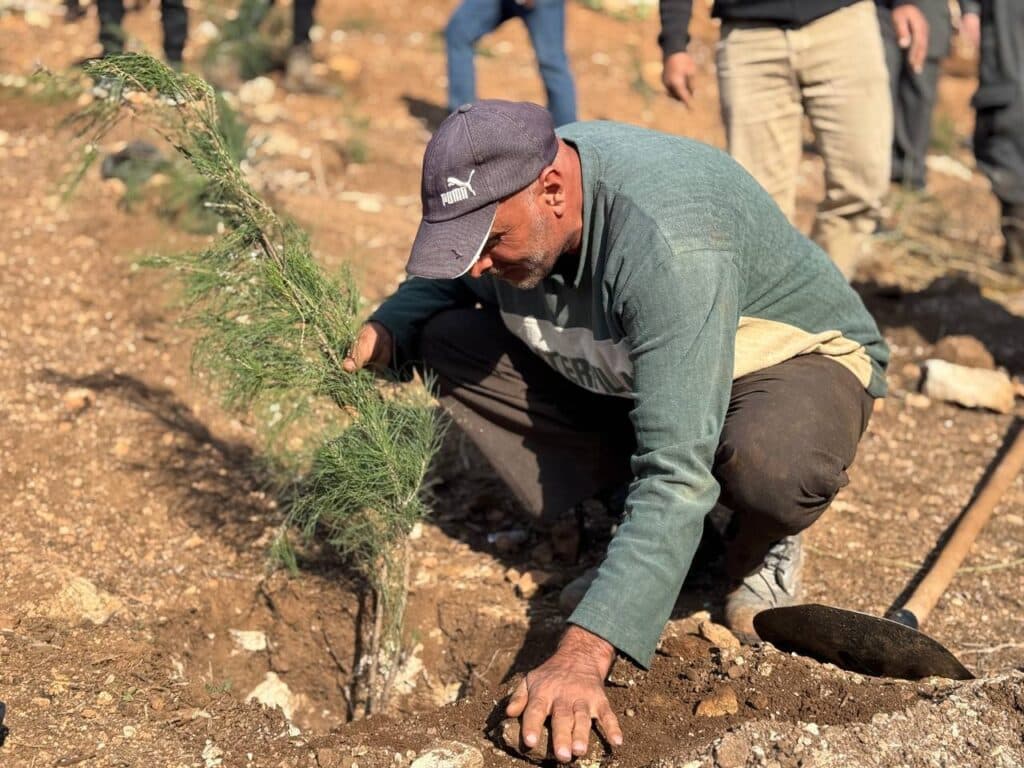 "لكل جندي شجرة".. حملة سورية لإعادة إحياء الغطاء النباتي المتضرر من الحرب