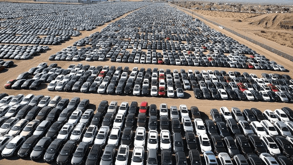 الدار - سجلت حركة التخليص على المركبات من المنطقة الحرة في محافظة الزر