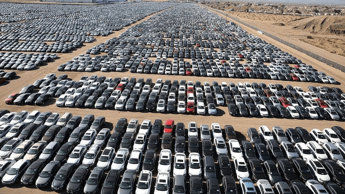 تراجع حاد بالتخليص على المركبات في المنطقة الحرة بنسبة 65%