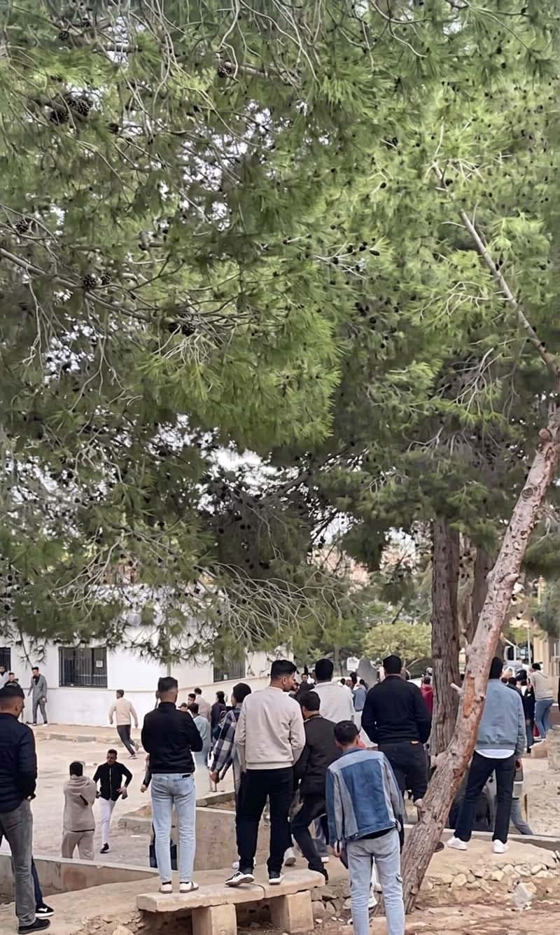 الدار - شهد حرم كلية الحصن الجامعية، الأحد، اندلاع مشاجرة جماعية بين م